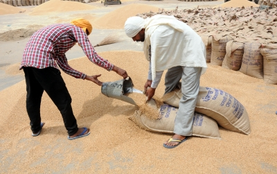 Farmers Register for Wheat Procurement in Madhya Pradesh.webp