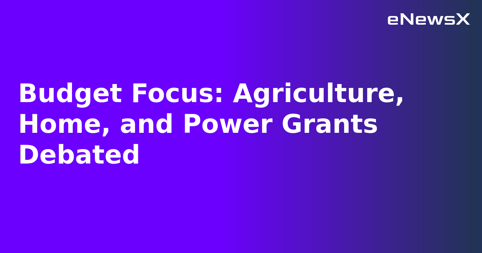 Budget Focus: Agriculture, Home, and Power Grants Debated