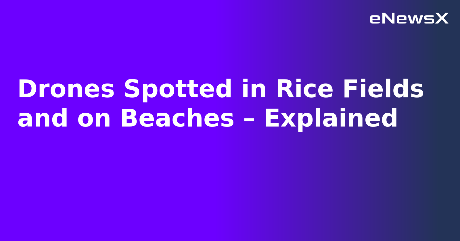 Drones Spotted in Rice Fields and on Beaches – Explained.webp