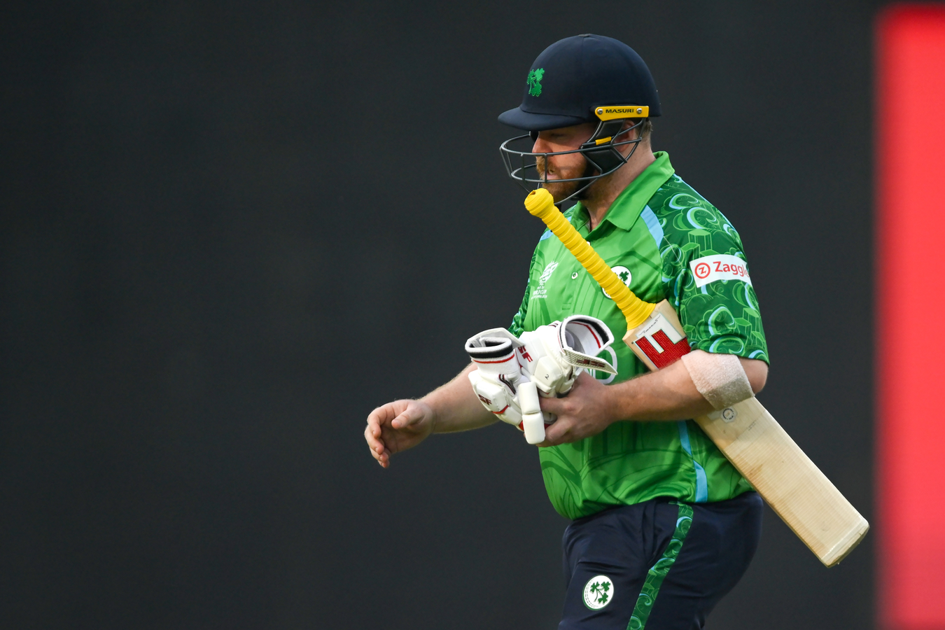 Stirling Steps Down as T20I Captain, Remains ODI Leader.webp