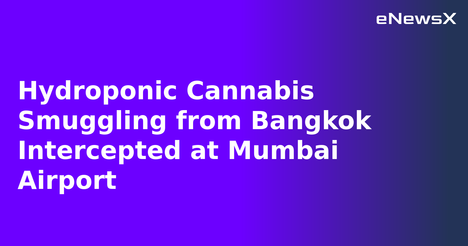 Hydroponic Cannabis Smuggling from Bangkok Intercepted at Mumbai Airport.webp