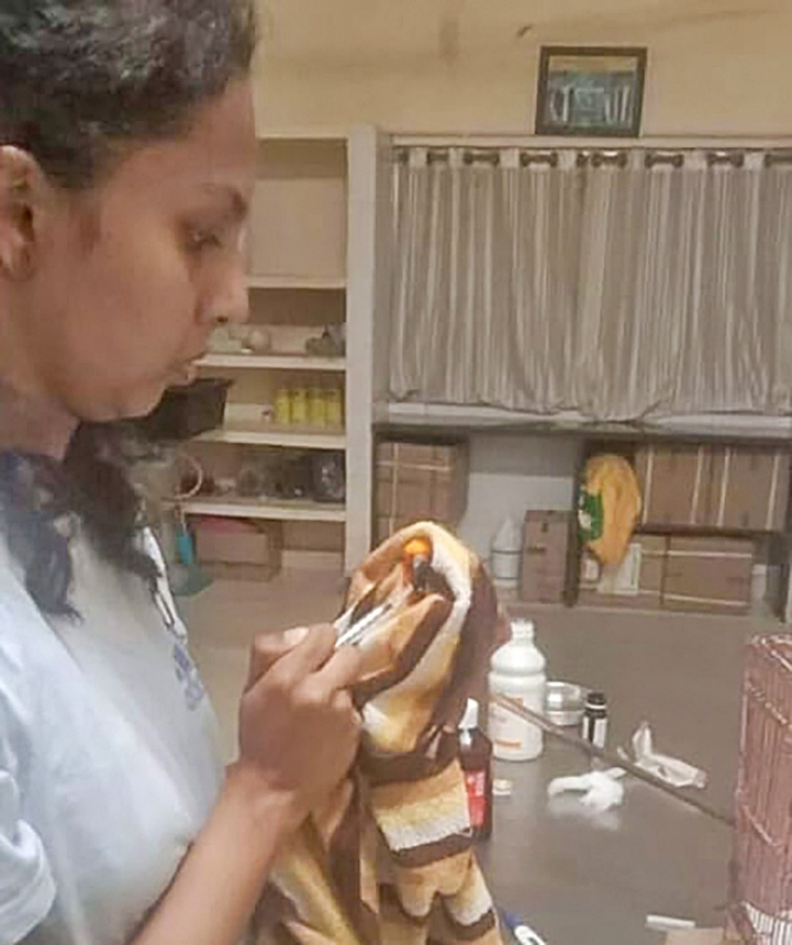 Karnataka Orders Probe After Veterinarian Dies in Attack