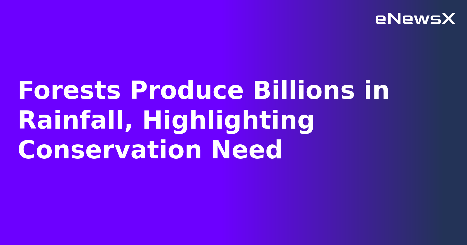 Forests Produce Billions in Rainfall, Highlighting Conservation Need.webp