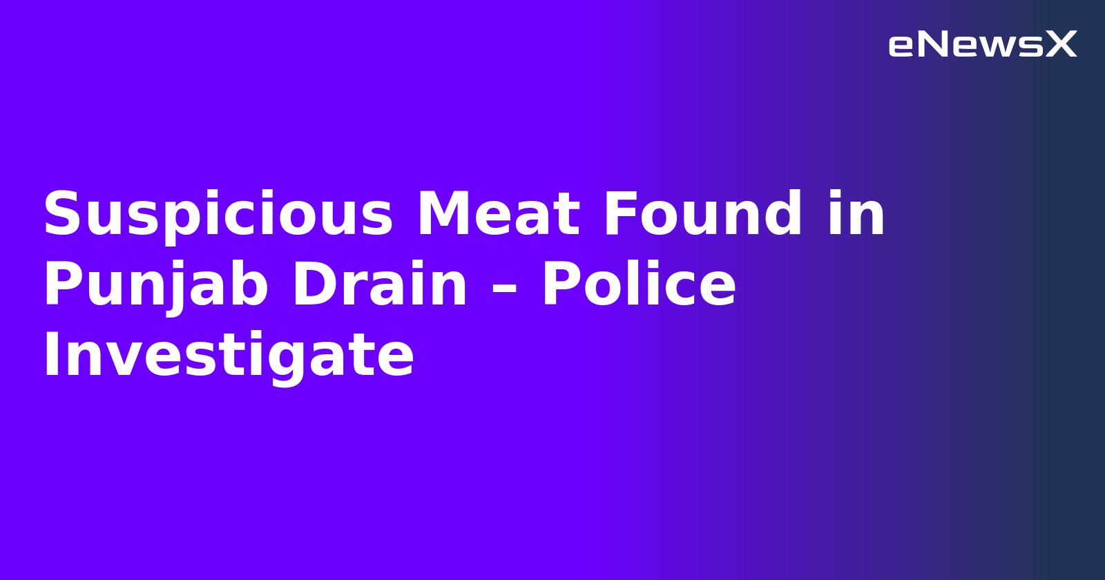 Suspicious Meat Found in Punjab Drain – Police Investigate.webp