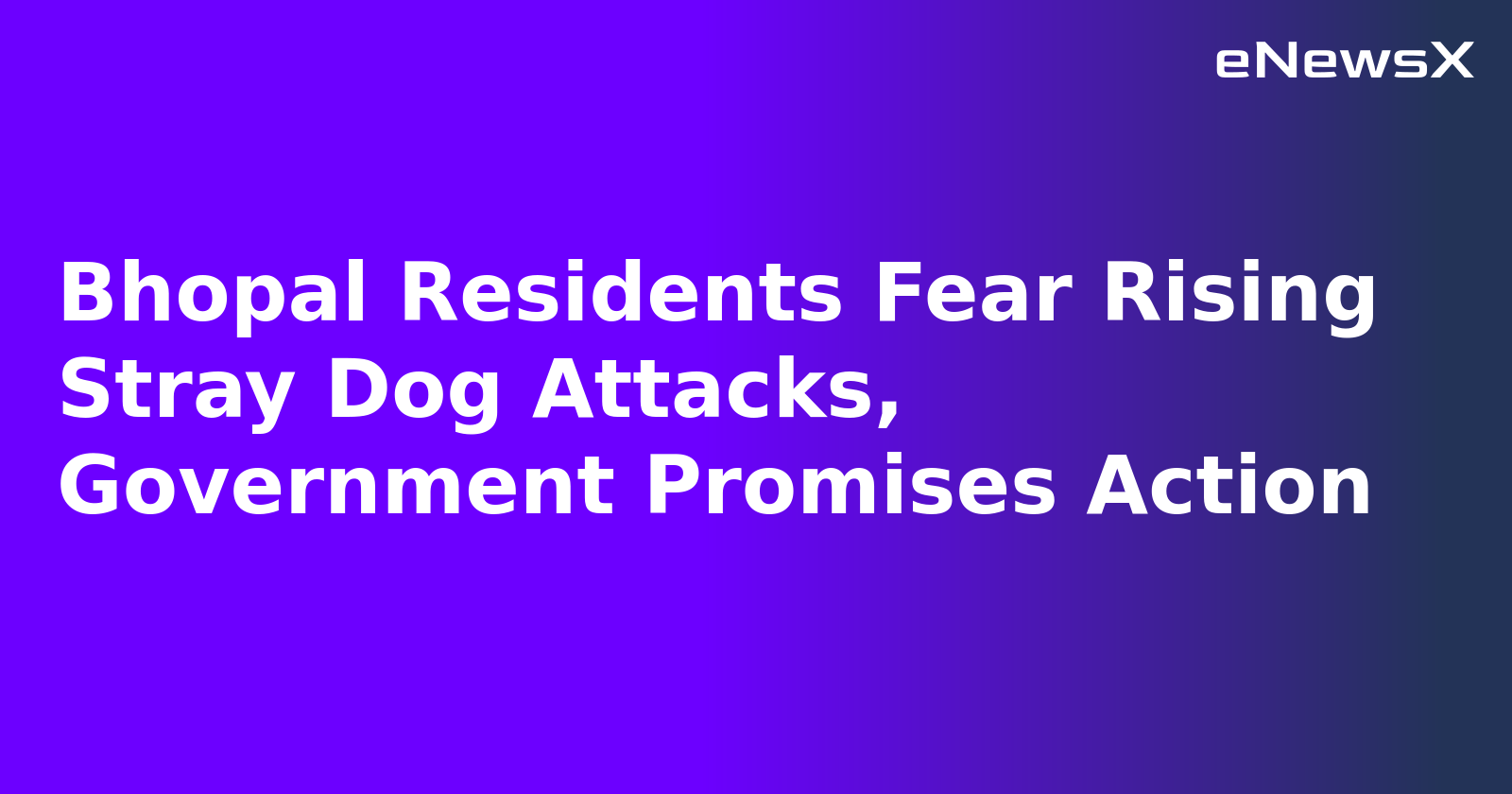 Bhopal Residents Fear Rising Stray Dog Attacks, Government Promises Action.webp