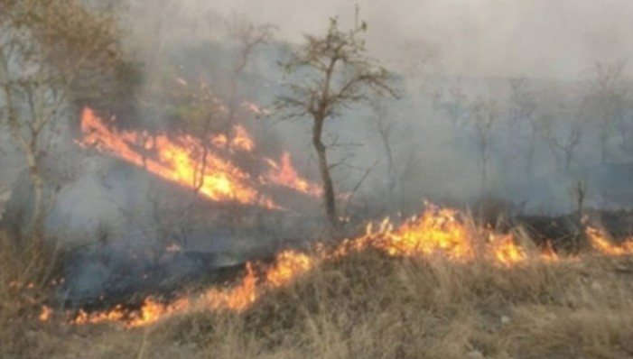 Arunachal Pradesh: Ongoing Efforts to Contain Forest Blaze.webp