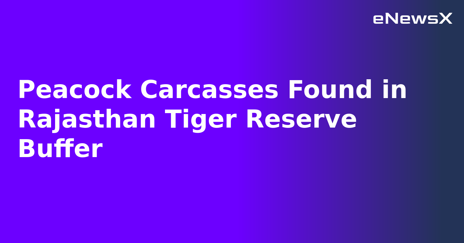 Peacock Carcasses Found in Rajasthan Tiger Reserve Buffer.webp Peacock Carcasses Found in Rajasthan Tiger Reserve Buffer.webp