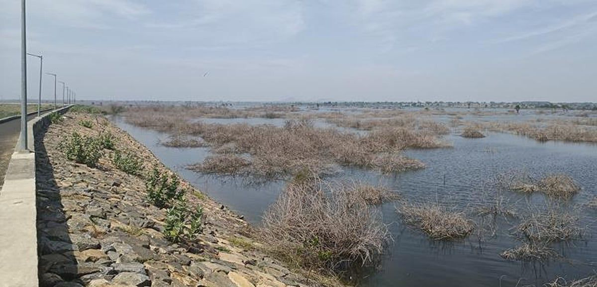 Dam Project's Stalled Progress Highlights Election Promises in TN.webp