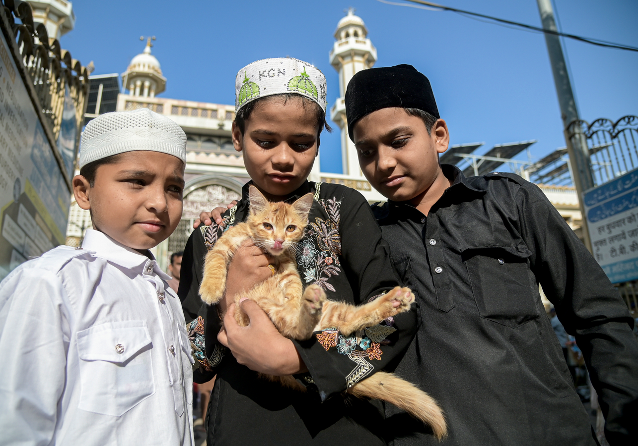 Unity and Remembrance: Eid Celebrations and Protests in India.webp Unity and Remembrance: Eid Celebrations and Protests in India.webp