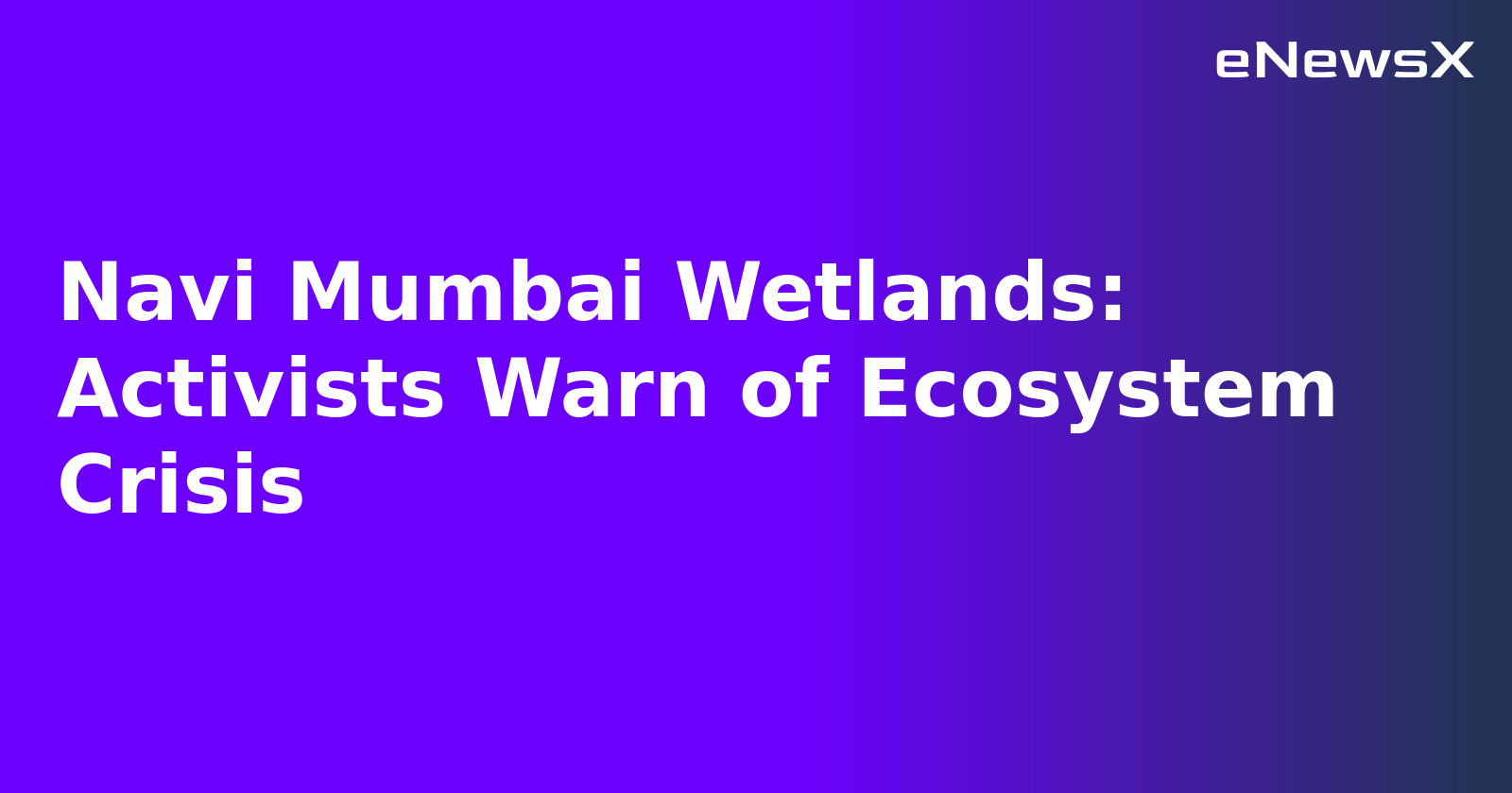 Navi Mumbai Wetlands: Activists Warn of Ecosystem Crisis.webp