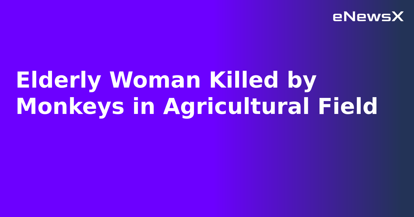 Elderly Woman Killed by Monkeys in Agricultural Field.webp