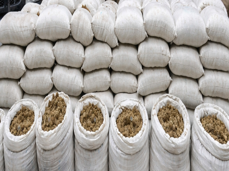 Properties of Smugglers Frozen After Major Drug Haul.webp