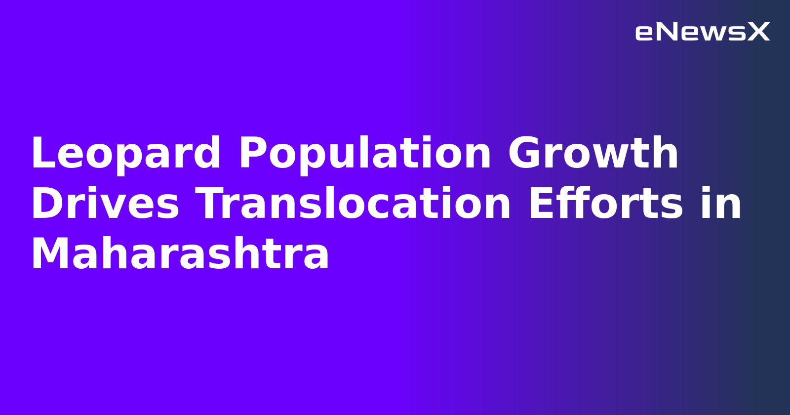 Leopard Population Growth Drives Translocation Efforts in Maharashtra