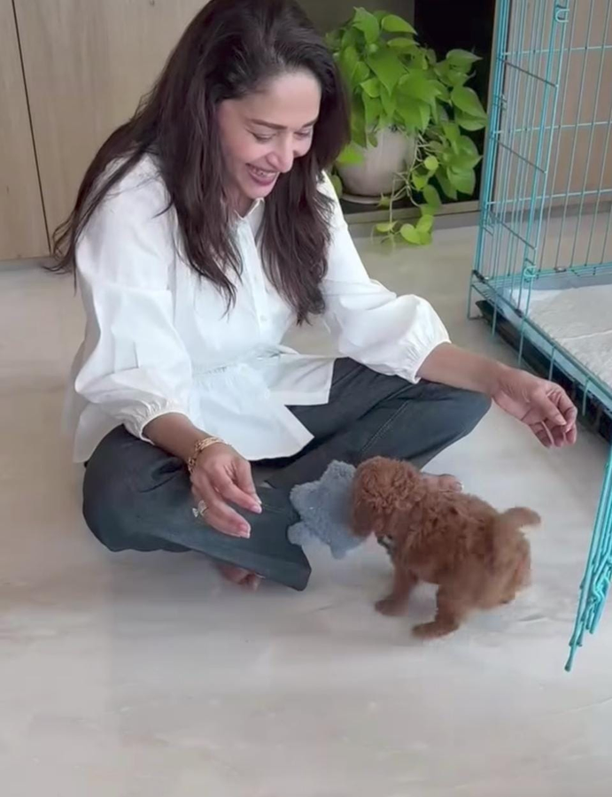 Madhuri Dixit Shares Throwback Puppy Playtime.webp