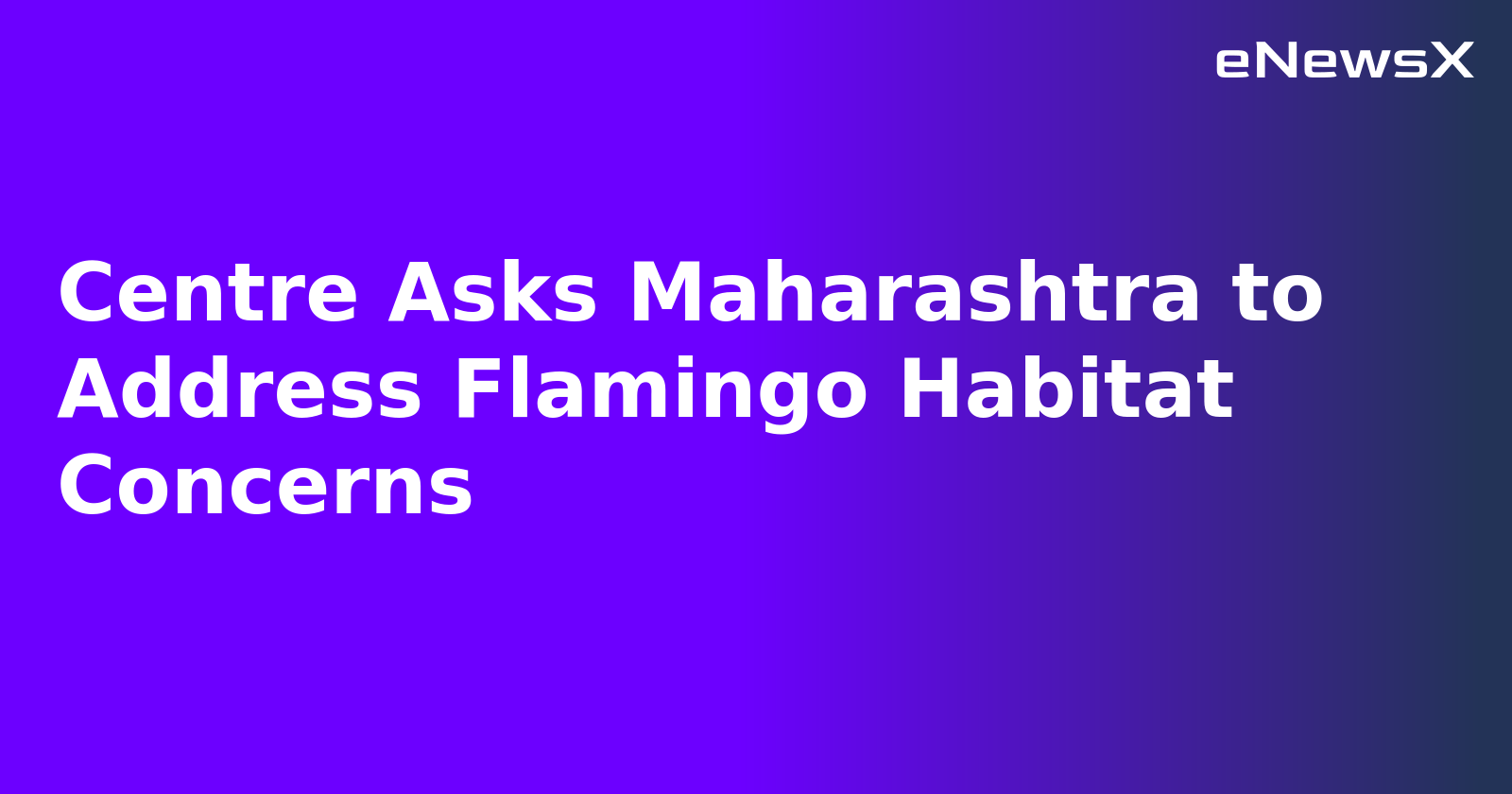 Centre Asks Maharashtra to Address Flamingo Habitat Concerns.webp