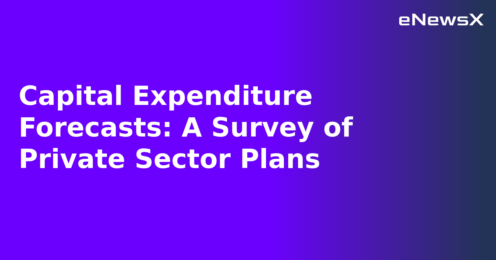 Capital Expenditure Forecasts: A Survey of Private Sector Plans.webp