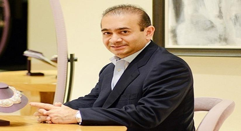 India Extradition Case: High Court Denies Nirav Modi's Reopening Request.webp