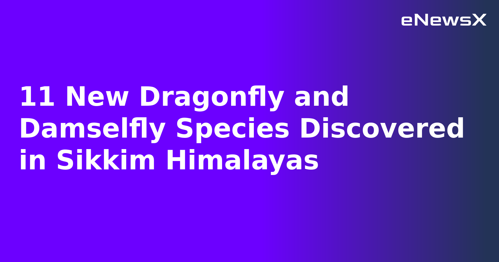11 New Dragonfly and Damselfly Species Discovered in Sikkim Himalayas.webp
