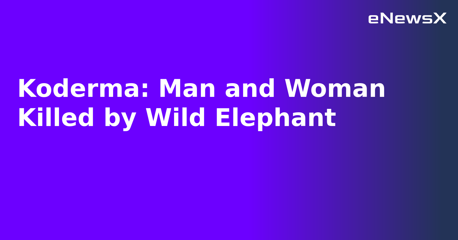 Koderma: Man and Woman Killed by Wild Elephant.webp