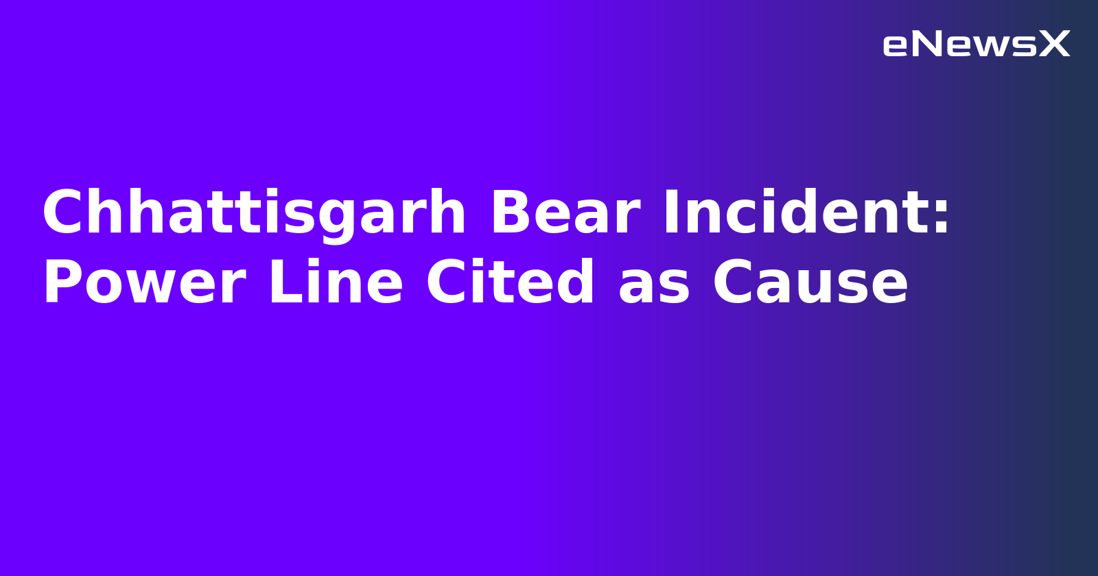 Chhattisgarh Bear Incident: Power Line Cited as Cause.webp