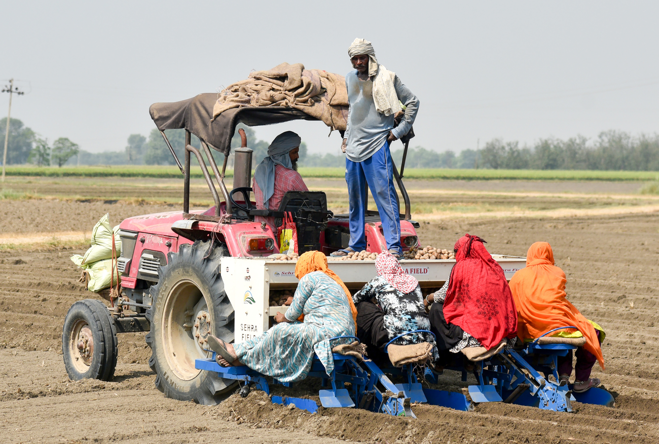 Urban Female Unemployment Declines, Govt Data Shows.webp