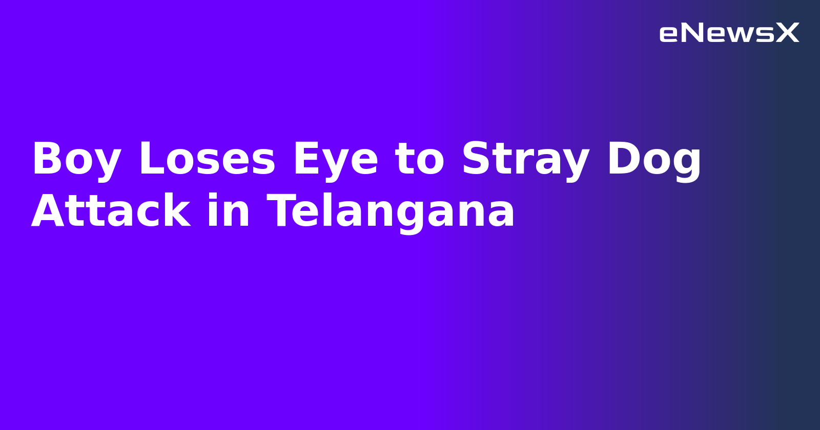 Boy Loses Eye to Stray Dog Attack in Telangana.webp