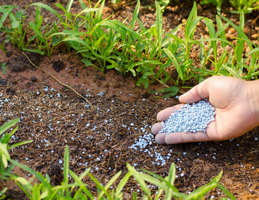 India's Fertilizer Reserves Meet Agricultural Needs.webp