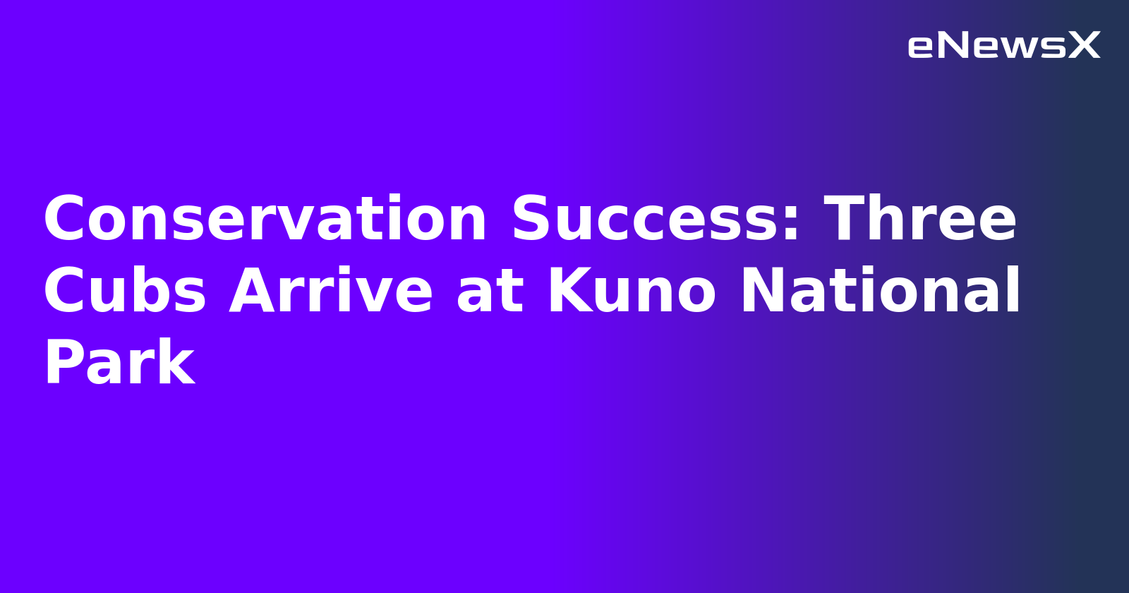 Conservation Success: Three Cubs Arrive at Kuno National Park.webp