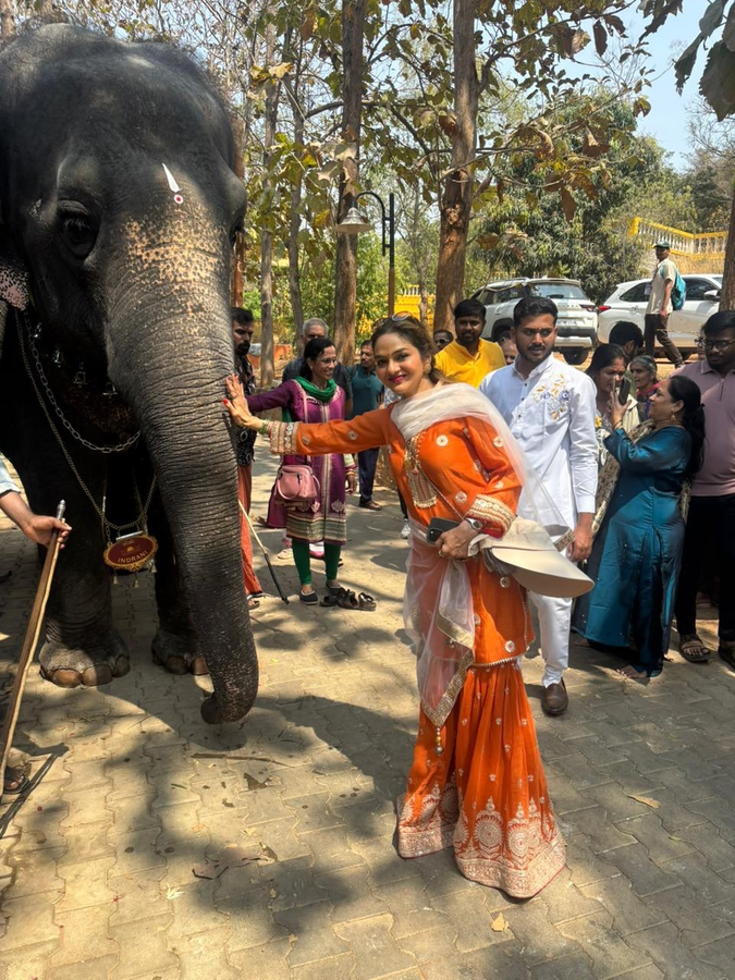 Madhoo Shares Her Connection to Elephants - 'They Are Gentle and Large'.webp Madhoo Shares Her Connection to Elephants - 'They Are Gentle and Large'.webp