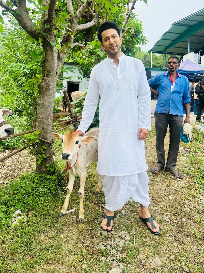 ‘Godaan’ Actor Reflects on the Significance of Cows in India.webp