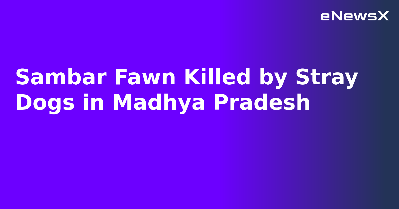 Sambar Fawn Killed by Stray Dogs in Madhya Pradesh.webp