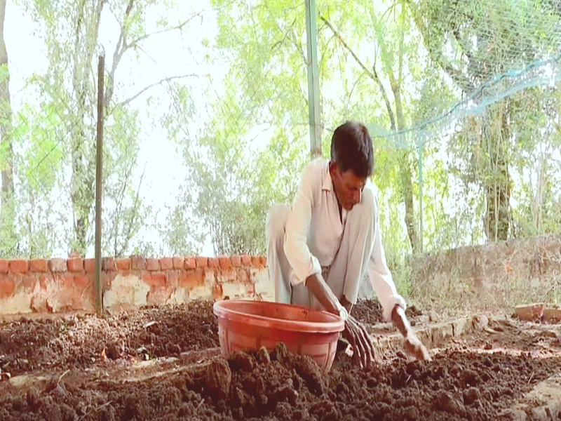 Biogas Plant Powers Meals for 500 at Educational Complex.webp