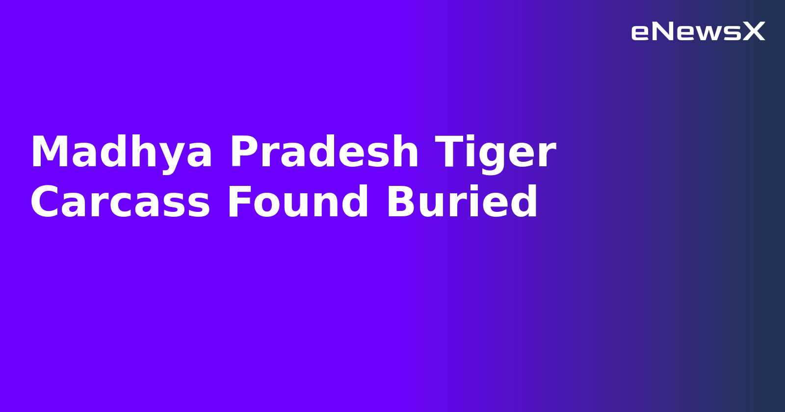 Madhya Pradesh Tiger Carcass Found Buried.webp