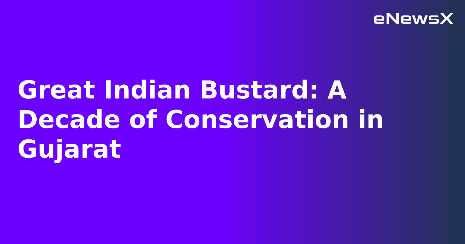 Great Indian Bustard: A Decade of Conservation in Gujarat.webp