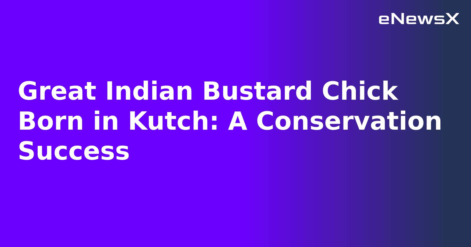 Great Indian Bustard Chick Born in Kutch: A Conservation Success.webp