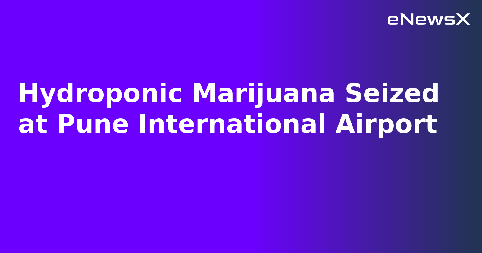 Hydroponic Marijuana Seized at Pune International Airport.webp Hydroponic Marijuana Seized at Pune International Airport.webp