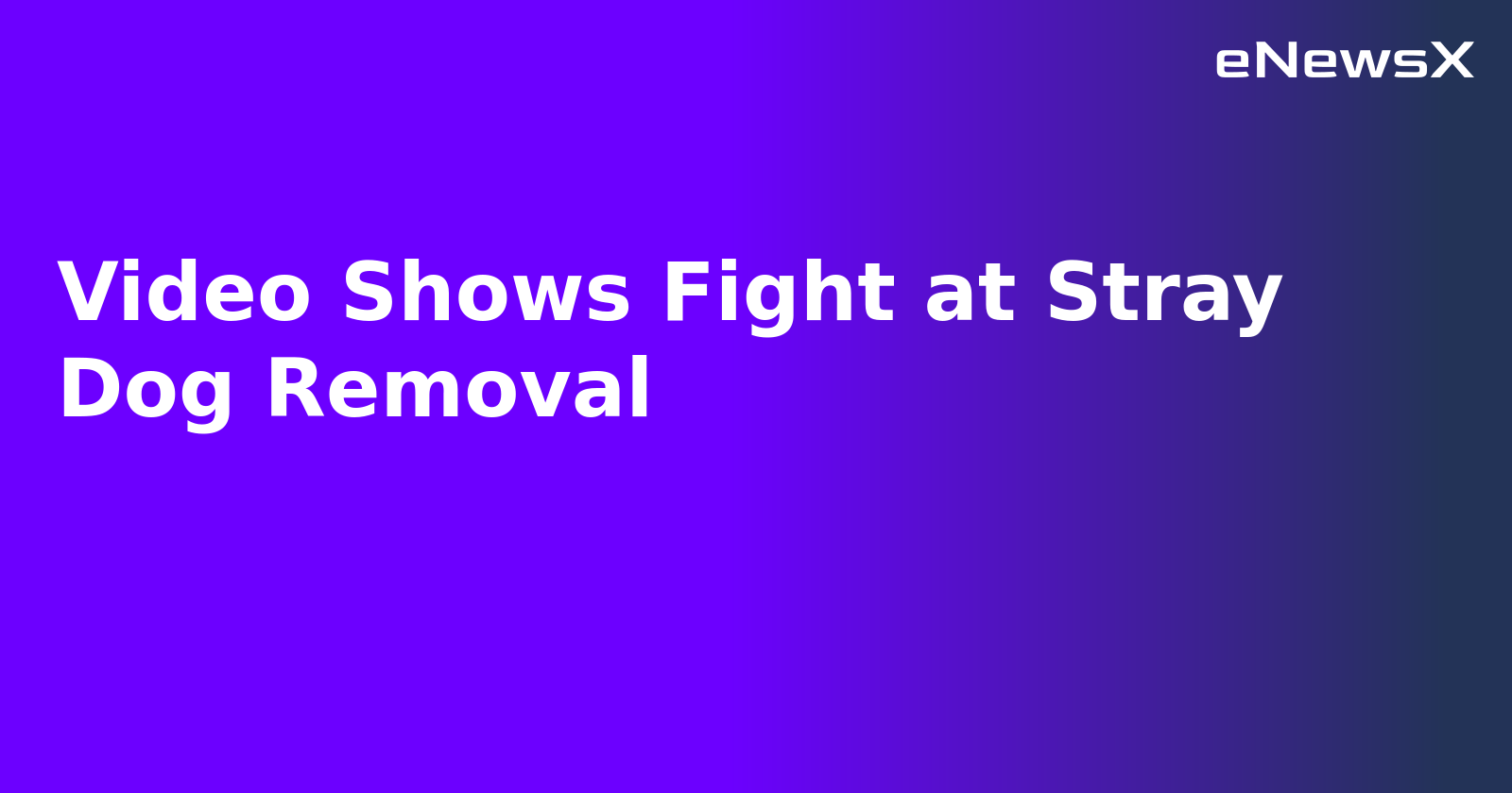 Video Shows Fight at Stray Dog Removal