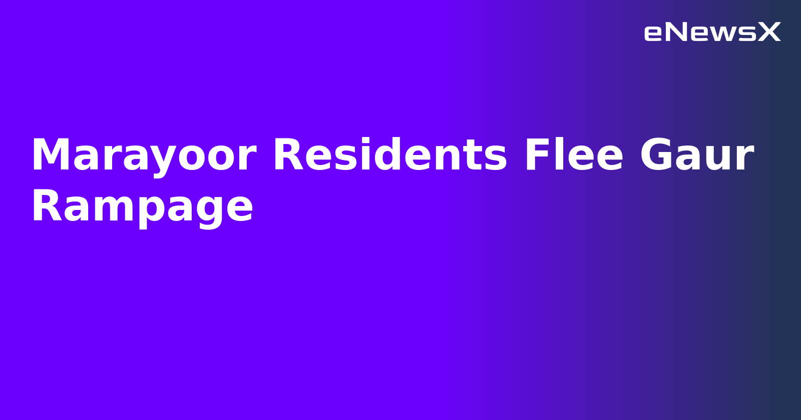 Marayoor Residents Flee Gaur Rampage.webp