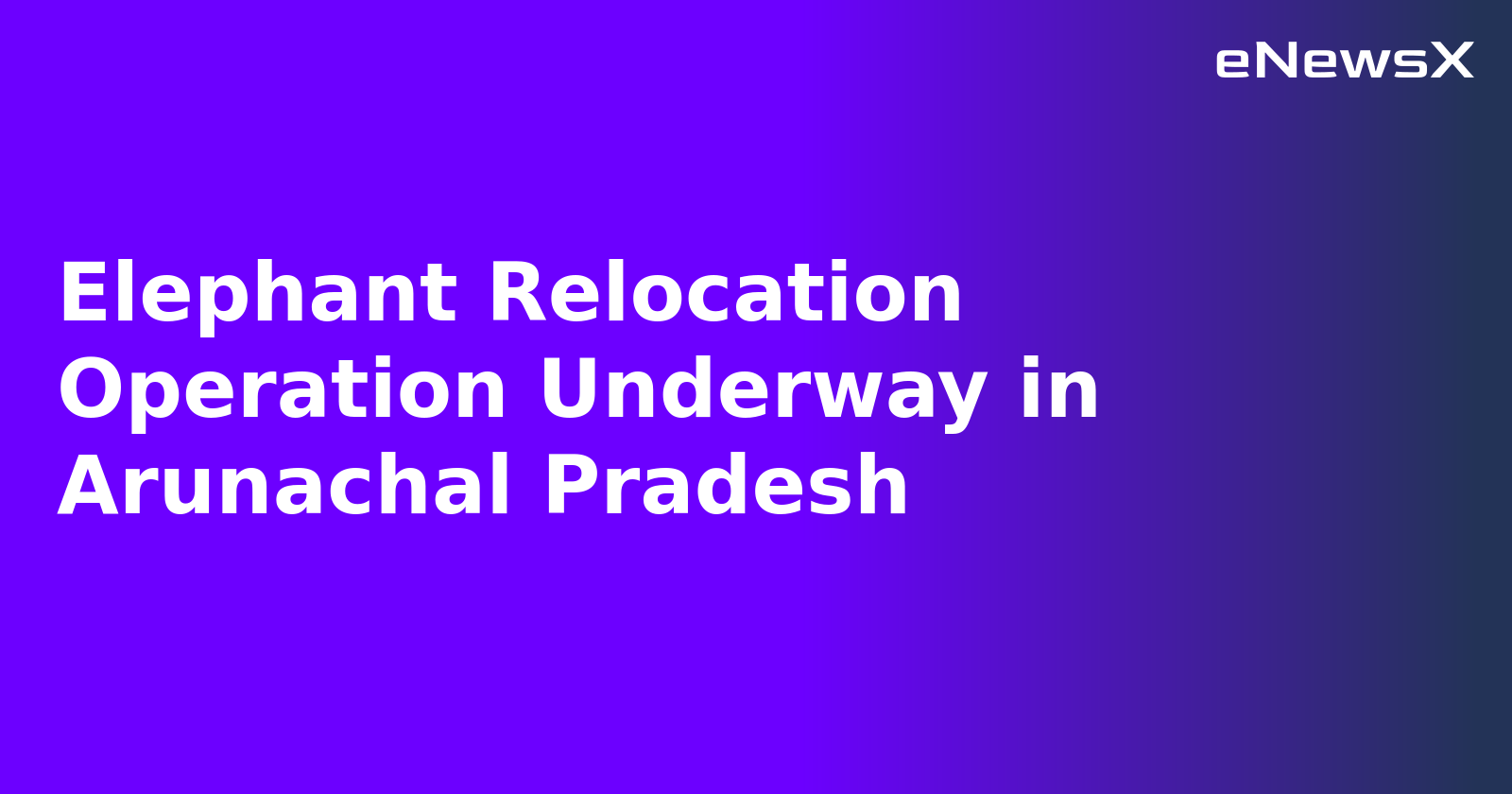 Elephant Relocation Operation Underway in Arunachal Pradesh.webp