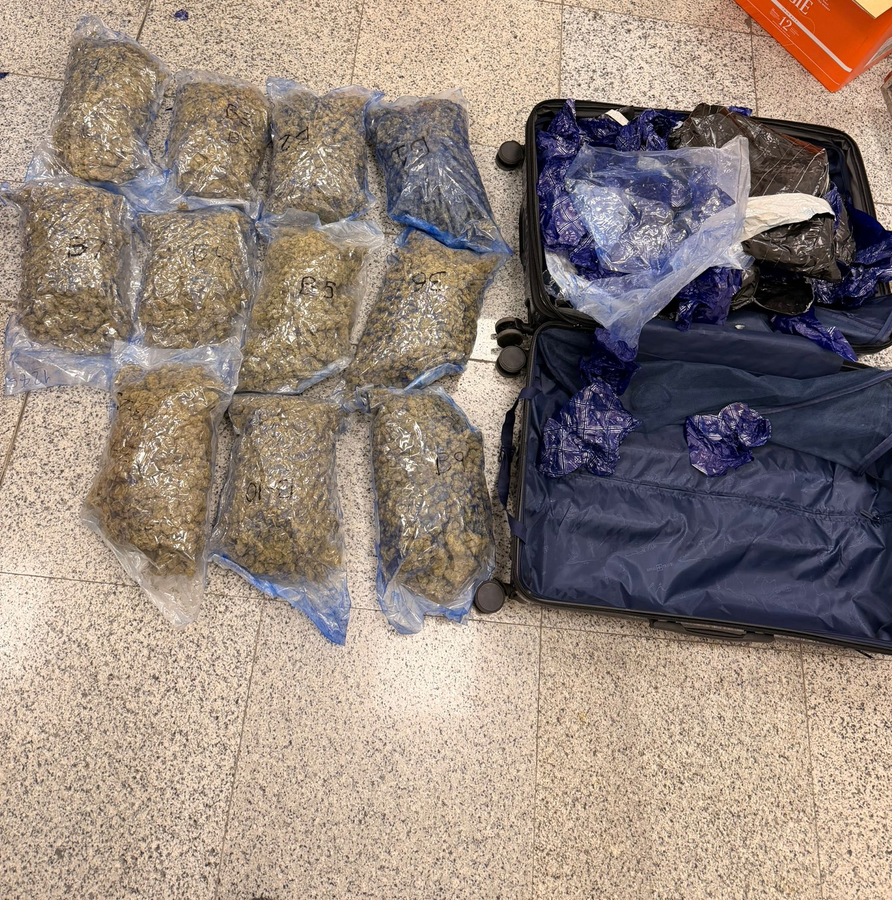 Hyderabad Airport Seizes Rs 8.9 Crore Hydroponic Cannabis.webp