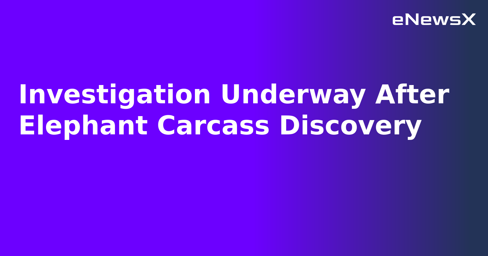 Investigation Underway After Elephant Carcass Discovery.webp Investigation Underway After Elephant Carcass Discovery.webp