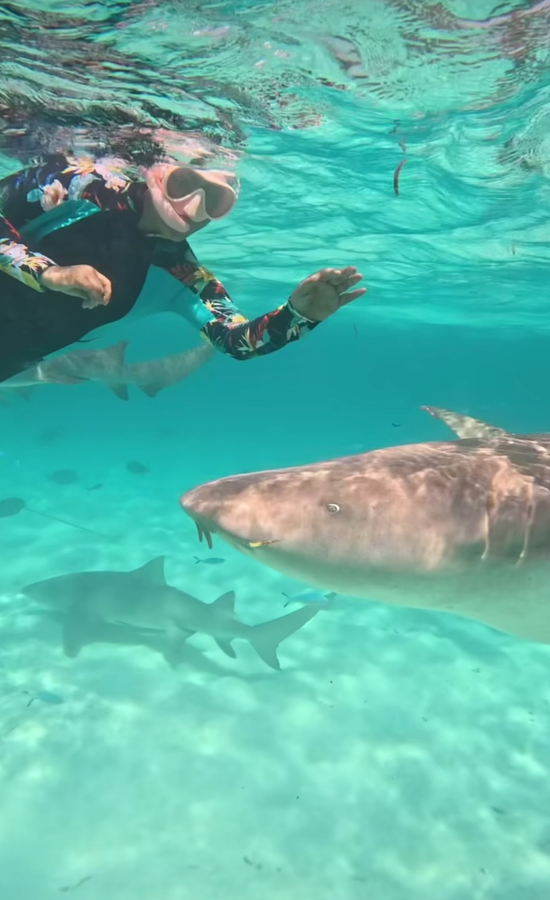 Maldives Adventure: Hina Khan's Underwater Exploration.webp