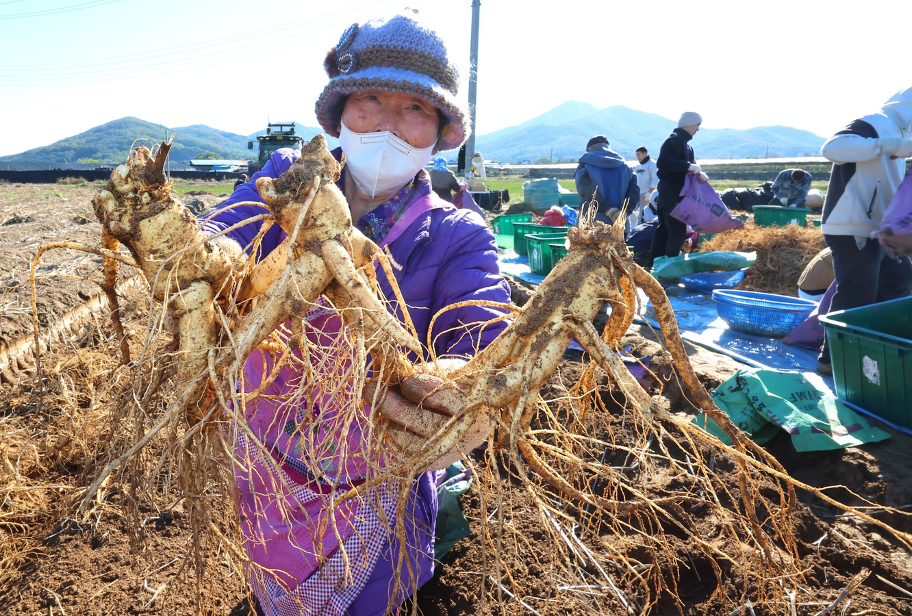 UNESCO Recognition Sought for Korean Health and Martial Arts.webp
