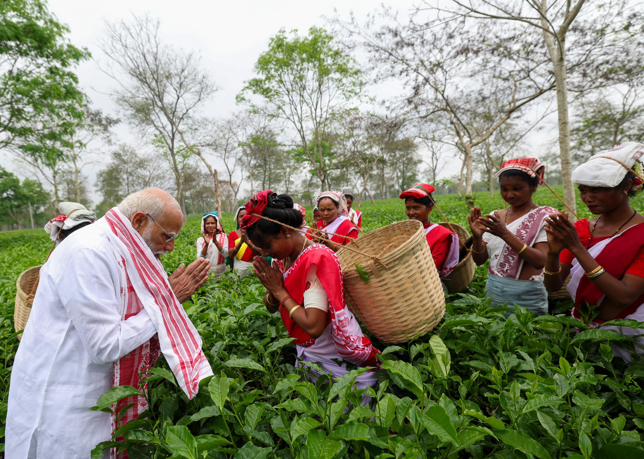 Assam Election Campaign: Modi Visits Dibrugarh Tea Estate.webp Assam Election Campaign: Modi Visits Dibrugarh Tea Estate.webp
