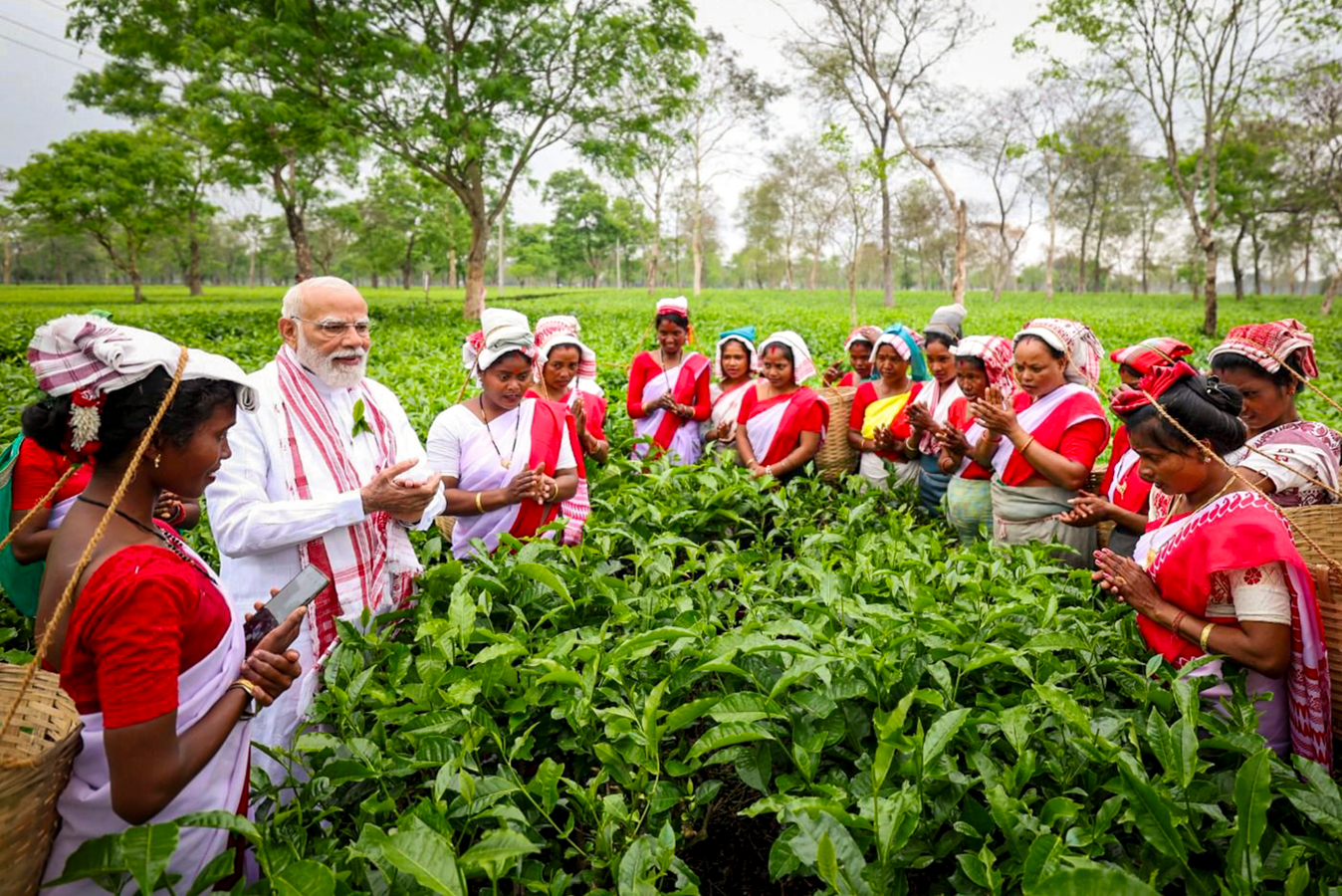 Assam Tea Garden Highlights PM's Engagement with Local Workers.webp
