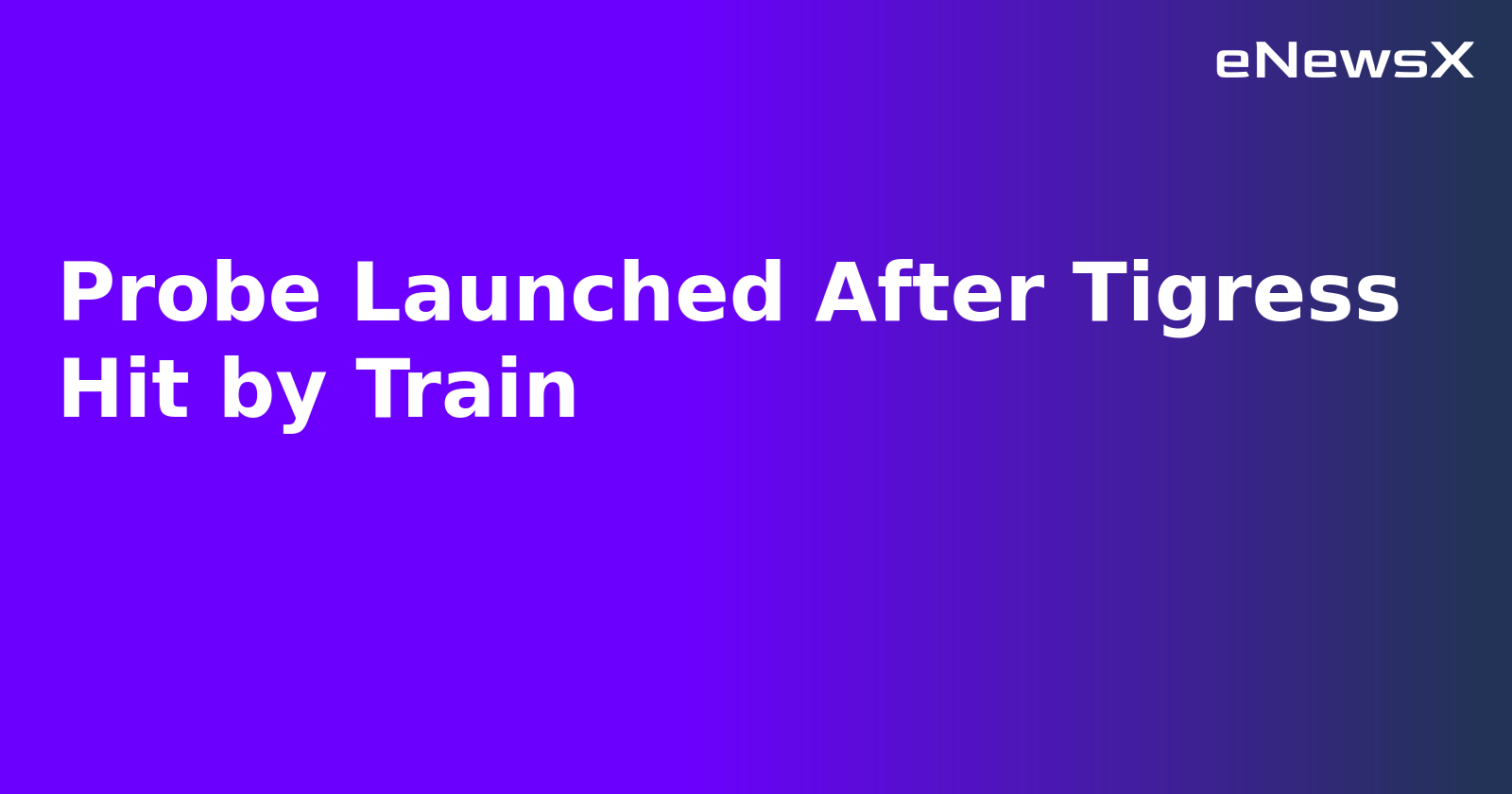Probe Launched After Tigress Hit by Train.webp