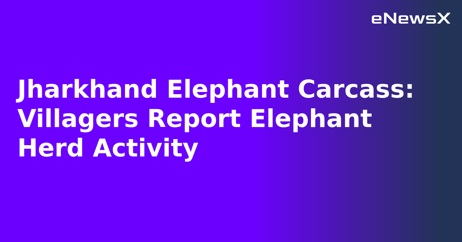 Jharkhand Elephant Carcass: Villagers Report Elephant Herd Activity.webp