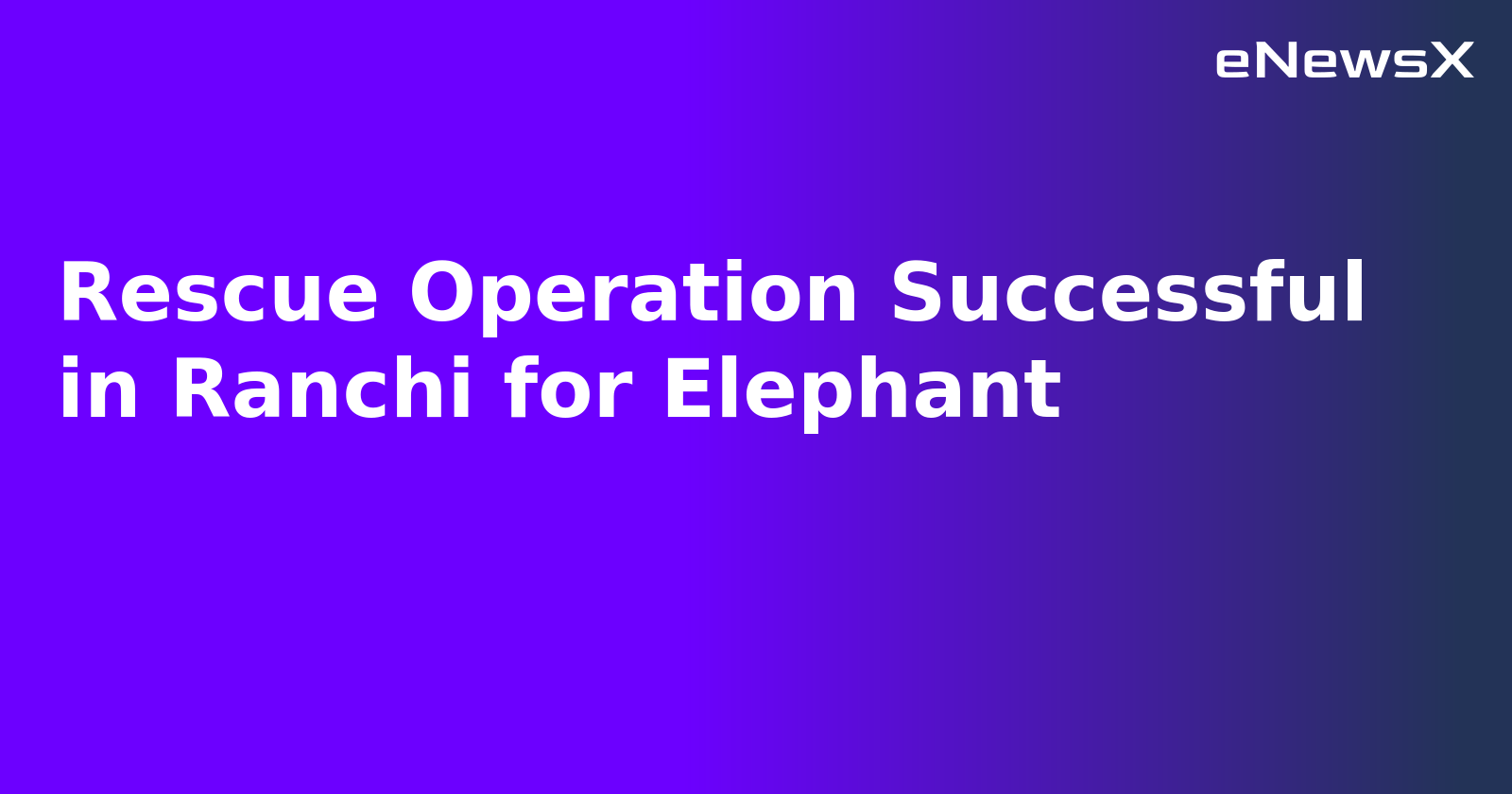 Rescue Operation Successful in Ranchi for Elephant.webp