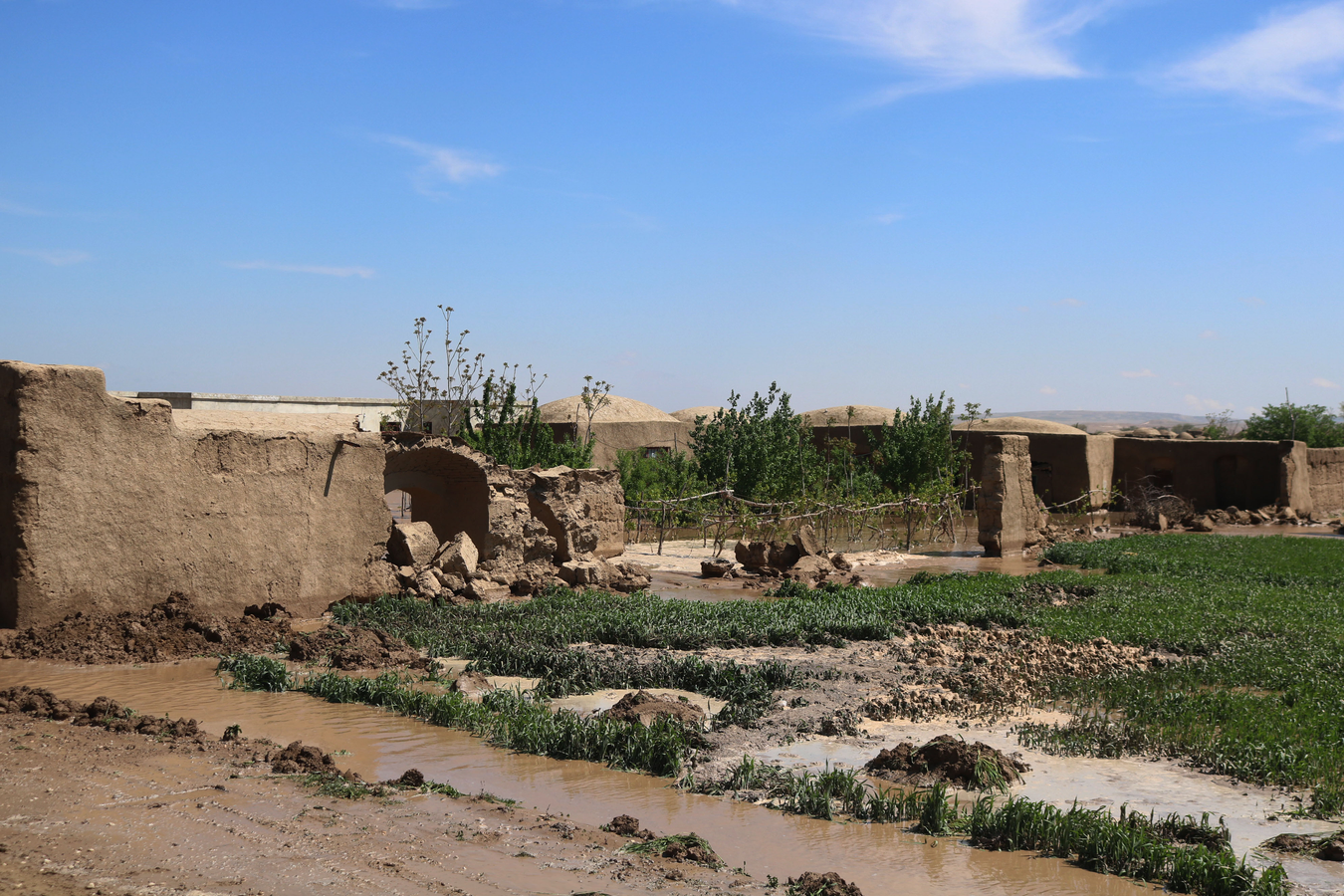 Herat Flash Floods Claim One Life, Injure 13.webp