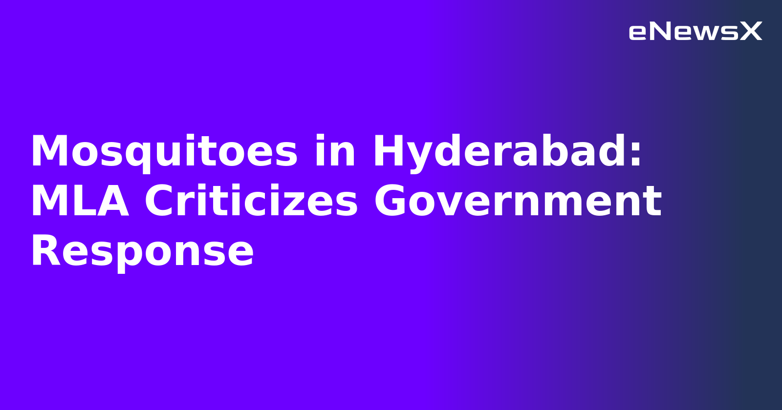 Mosquitoes in Hyderabad: MLA Criticizes Government Response